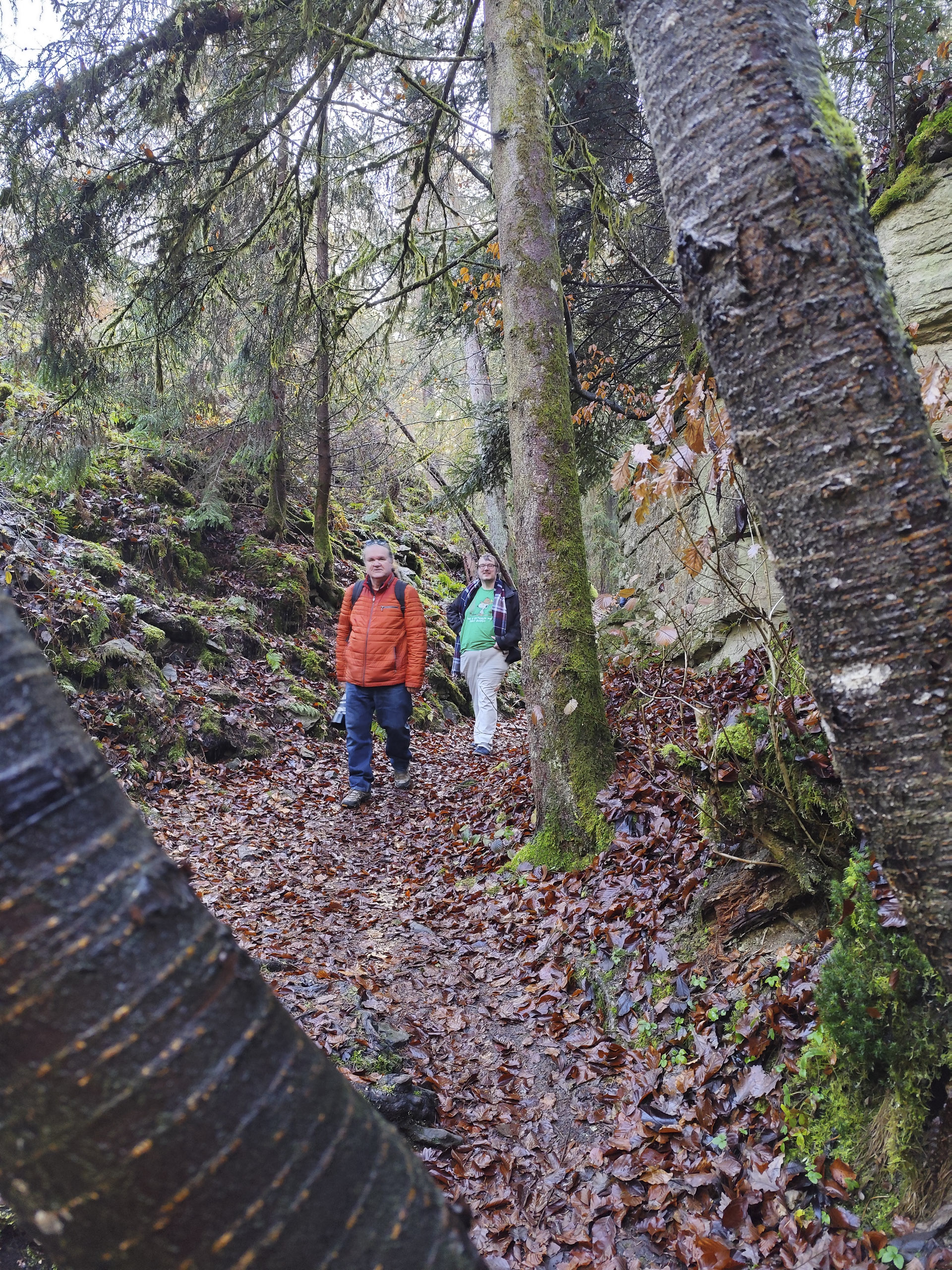 20251129121440 IMG 20251129 121440